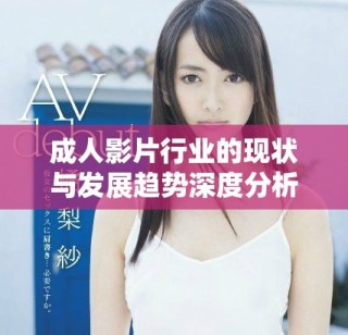 成人影片行業(yè)的現(xiàn)狀與發(fā)展趨勢(shì)深度分析與探討
