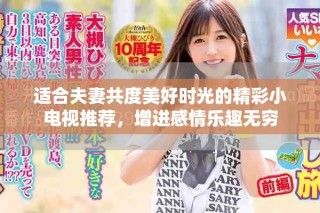 適合夫妻共度美好時光的精彩小電視推薦，增進感情樂趣無窮