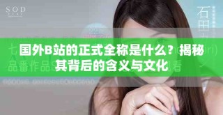 國外B站的正式全稱是什么？揭秘其背后的含義與文化