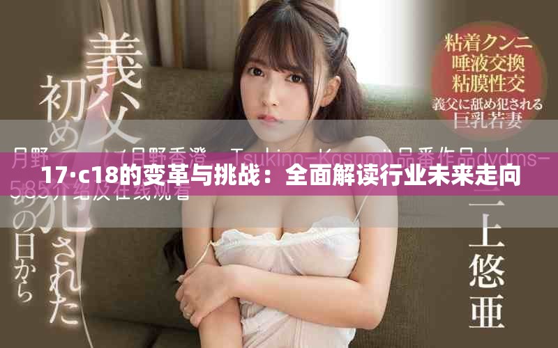 17·c18的變革與挑戰(zhàn)：全面解讀行業(yè)未來走向