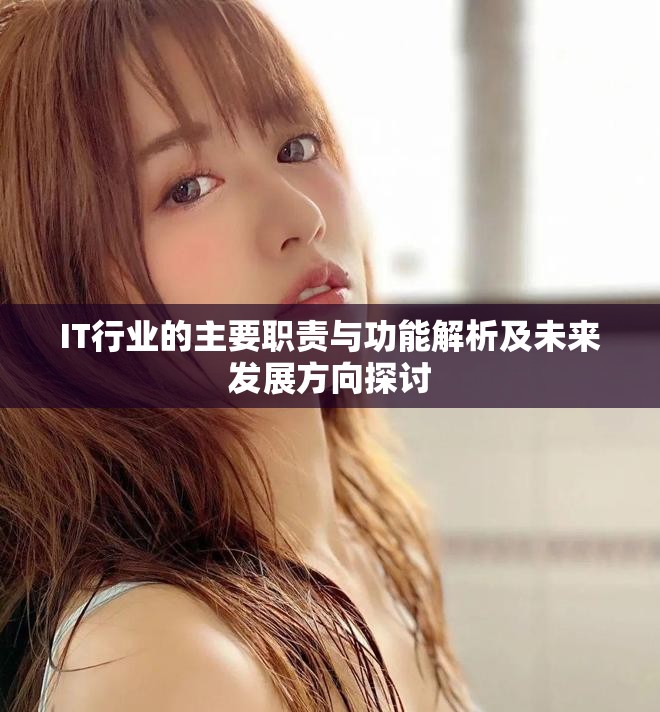 IT行業(yè)的主要職責與功能解析及未來發(fā)展方向探討