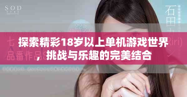 探索精彩18歲以上單機(jī)游戲世界，挑戰(zhàn)與樂(lè)趣的完美結(jié)合