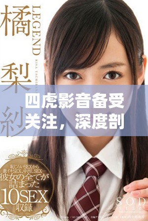 四虎影音備受關(guān)注，深度剖析其影響力與未來(lái)發(fā)展方向