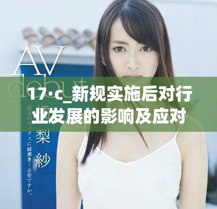 17·c_新規(guī)實施后對行業(yè)發(fā)展的影響及應(yīng)對策略分析