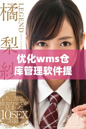 優(yōu)化wms倉庫管理軟件提升物流效率的關(guān)鍵因素分析