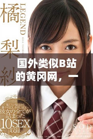 國外類似B站的黃岡網(wǎng)，一起來了解其特色與優(yōu)勢吧！