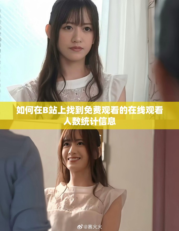 如何在B站上找到免費(fèi)觀看的在線(xiàn)觀看人數(shù)統(tǒng)計(jì)信息