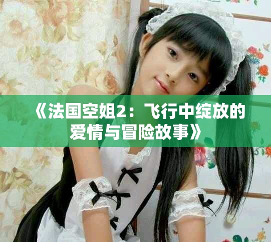 《法國(guó)空姐2：飛行中綻放的愛(ài)情與冒險(xiǎn)故事》