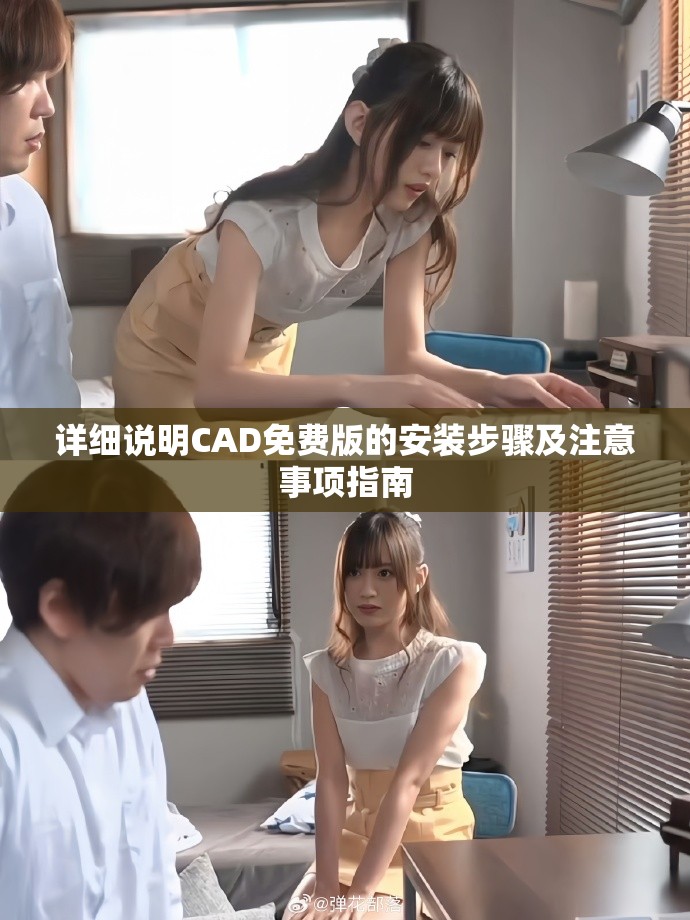 詳細說明CAD免費版的安裝步驟及注意事項指南