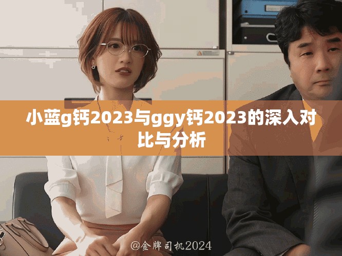 小藍(lán)g鈣2023與ggy鈣2023的深入對(duì)比與分析
